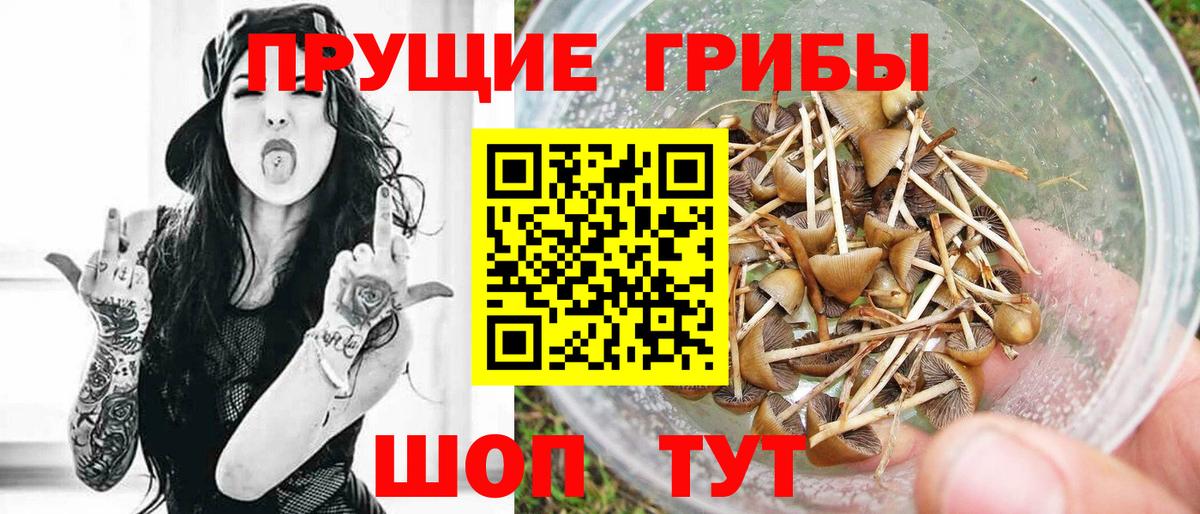 Псилоцибиновые грибы мухоморы  Псилоцибиновые грибы Psilocybe  Вход с VPN  Старая Купавна 